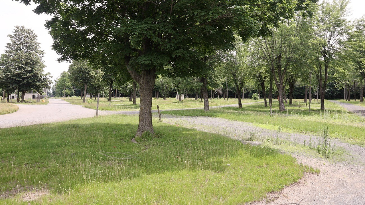 Redéveloppement de l'ancien camping Koa: un projet qui divise