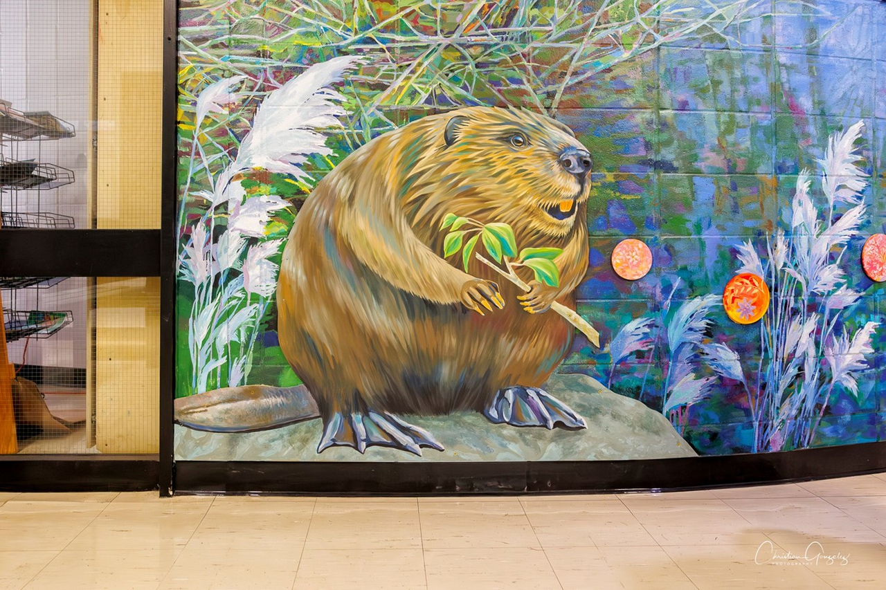 Natura prend son envol à l'école Mount Pleasant à Hudson