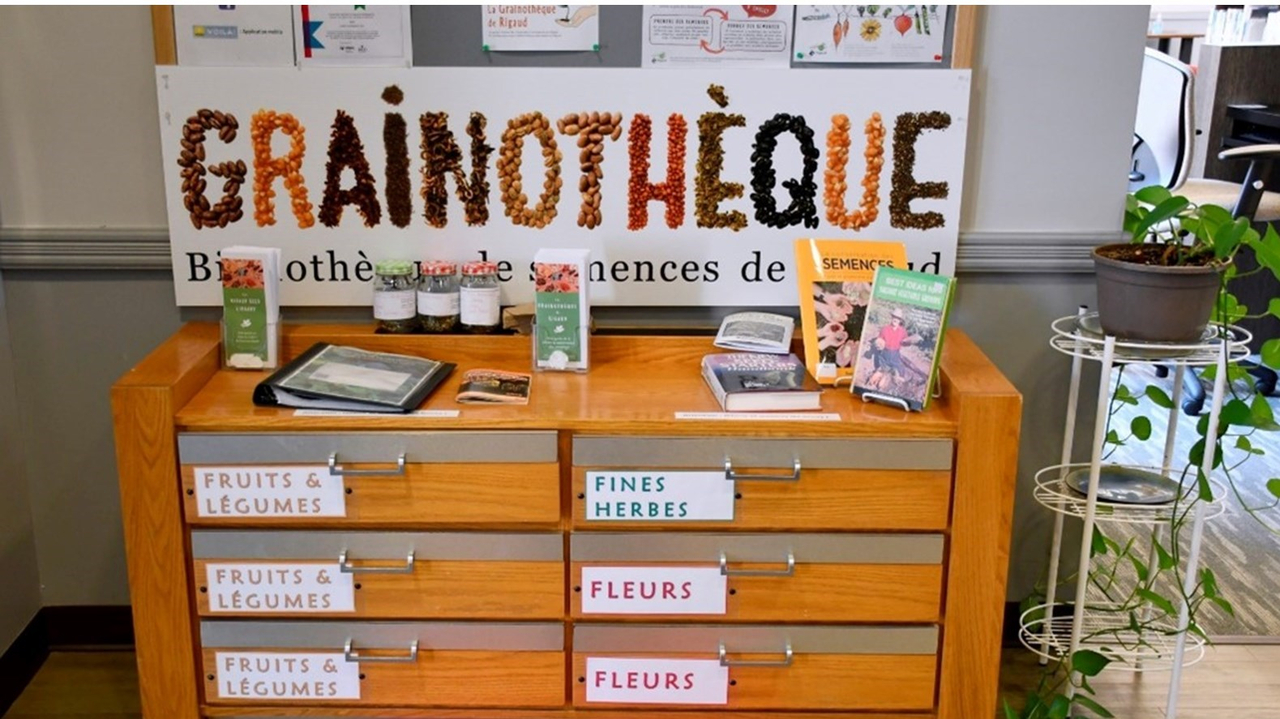 La Grainothèque de Rigaud à la recherche de semences