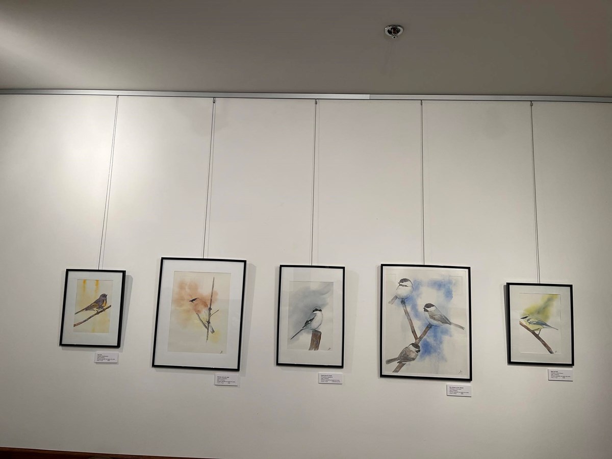 TRACE: La faune ailée au coeur de l'exposition de Jade Cousineau