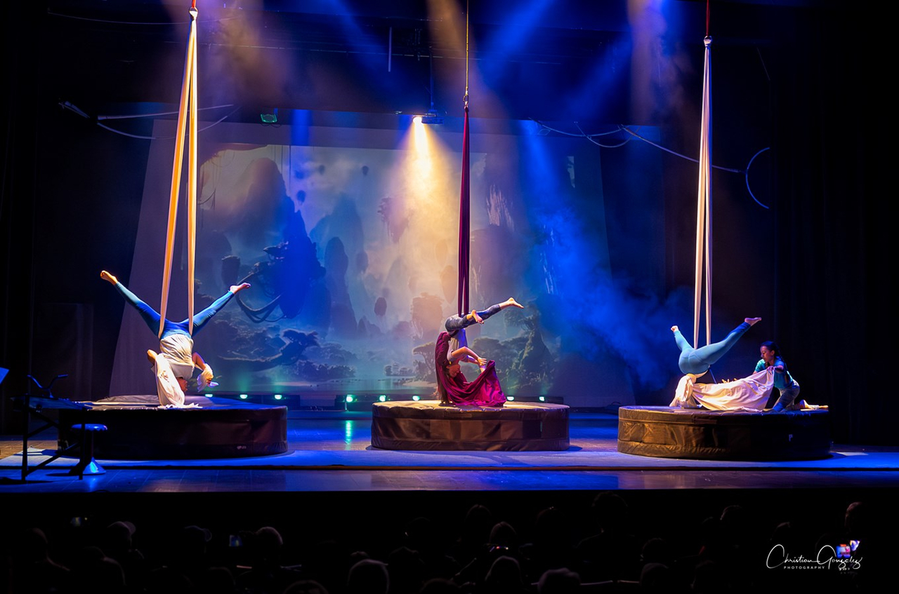 Festi-Cirque 2024: Retour en images sur le spectacle de l'école Harwood