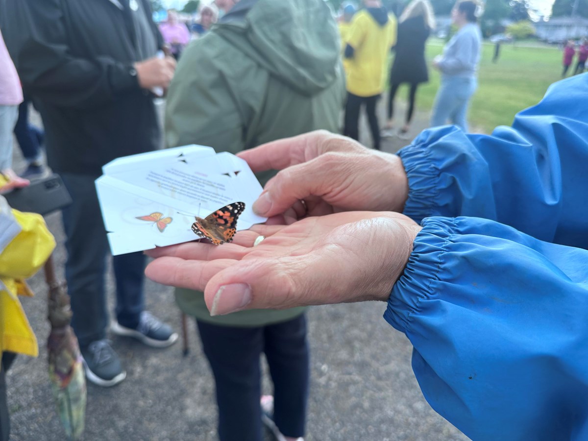 Un des papillons prêt à s'envoler