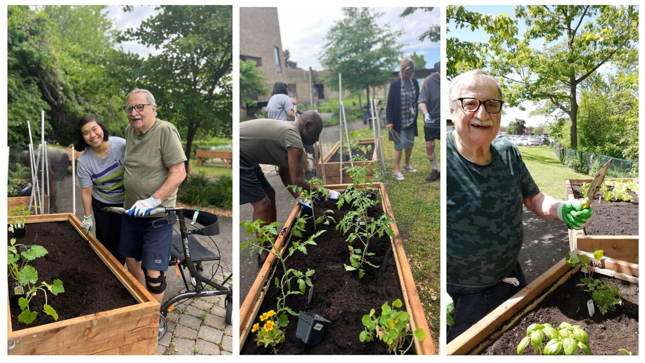 Un potager réalisé par des usagers en réadaptation