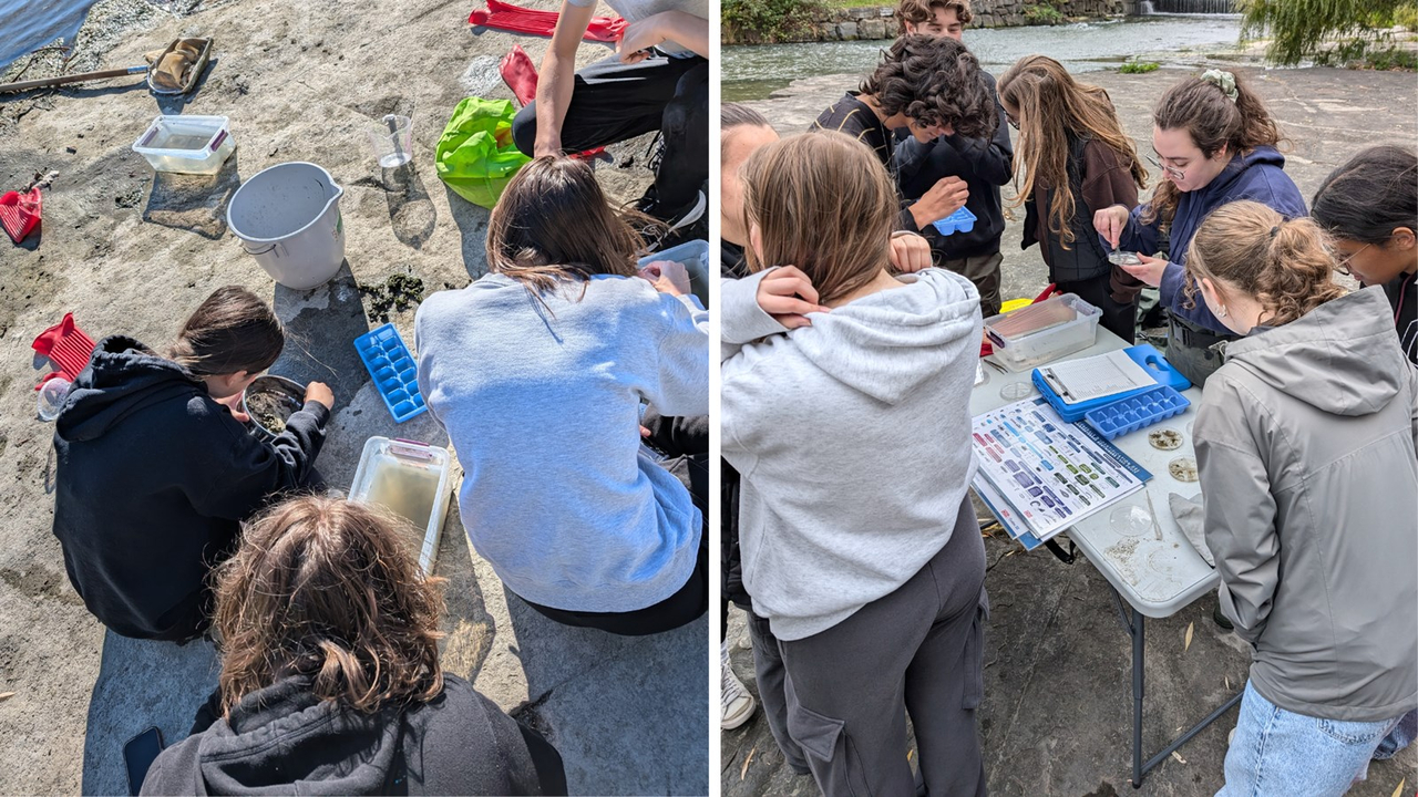 Cinq classes de Vaudreuil-Soulanges se sont initiées à la science de l'eau