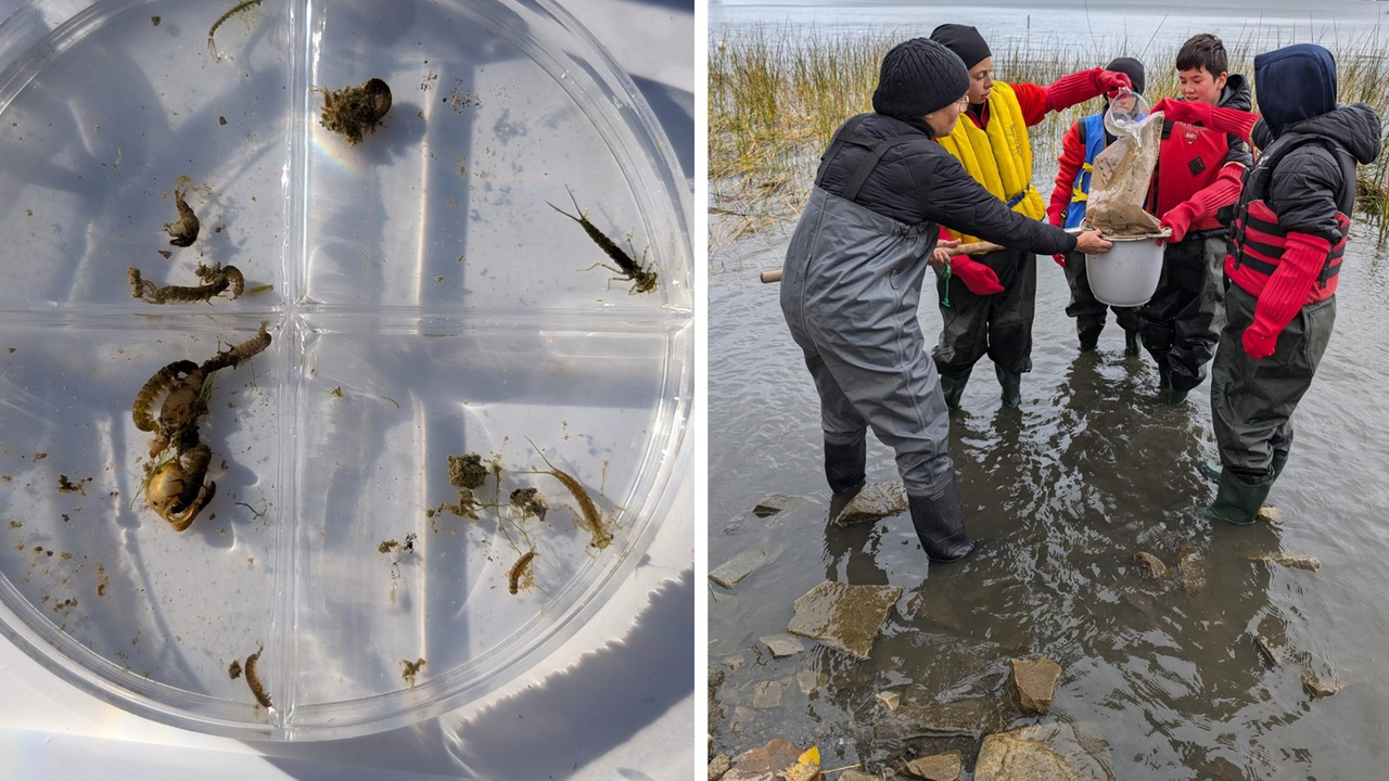 Cinq classes de Vaudreuil-Soulanges se sont initiées à la science de l'eau