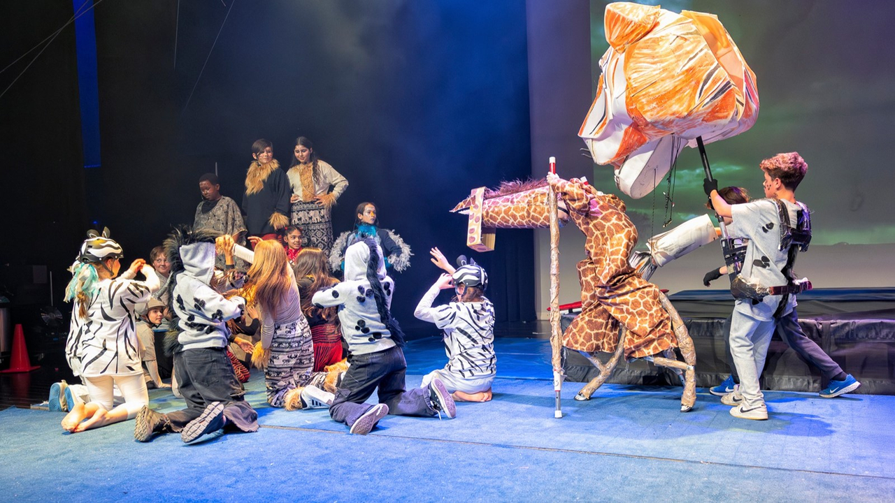 Festi-Cirque: Retour en images sur le spectacle de l'école Harwood