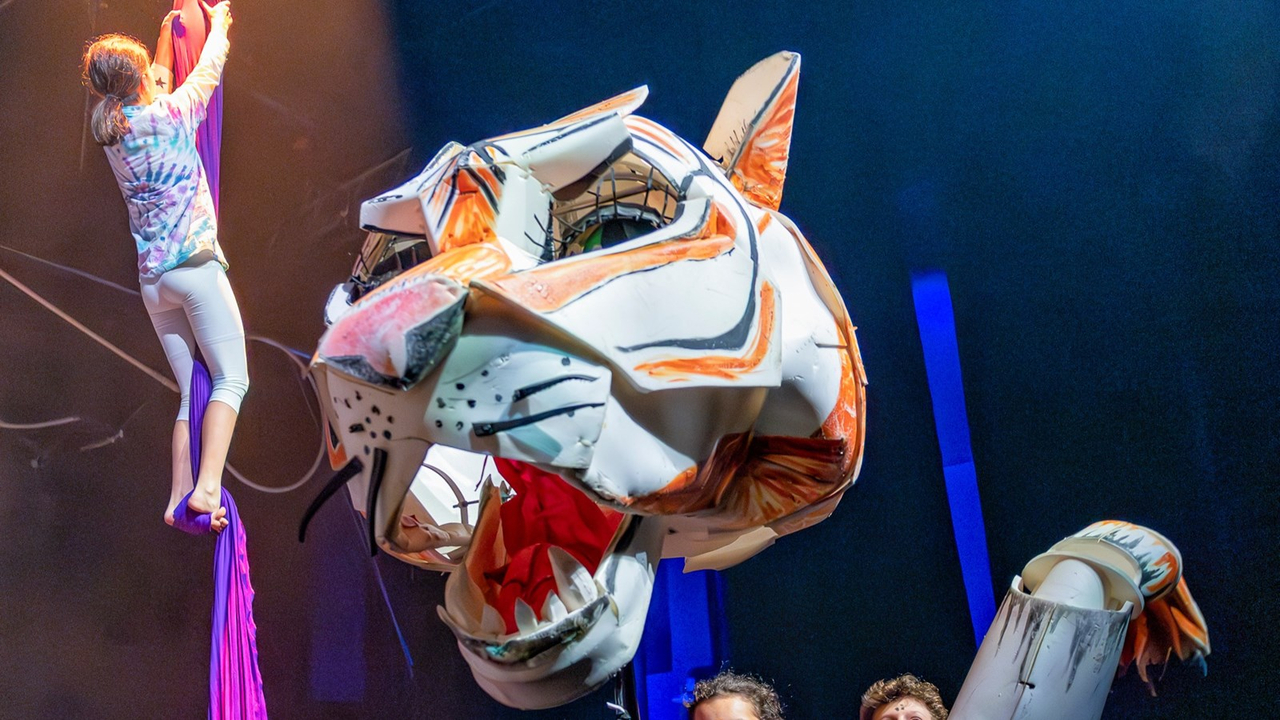 Festi-Cirque: Retour en images sur le spectacle de l'école Harwood