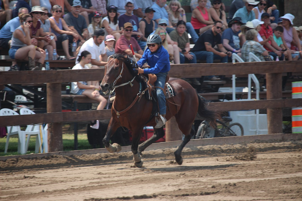 Au galop: le gymkhana de Sainte-Justine-de-Newton attire les foules