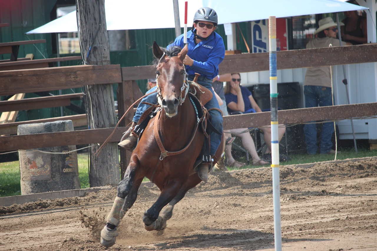 Au galop: le gymkhana de Sainte-Justine-de-Newton attire les foules