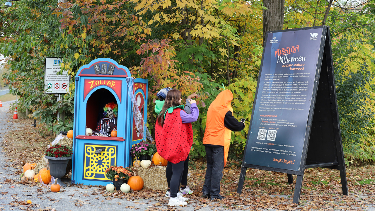 halloweenpnh