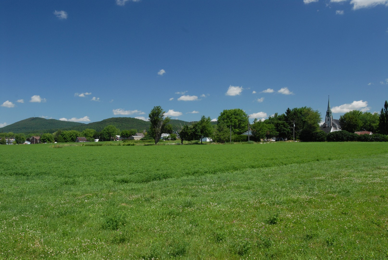 Accueillant de nombreux vergers et cidreries, Rougemont a su se positionner au sein du marché de l’agriculture automnale.(Photo : Luc Giard)