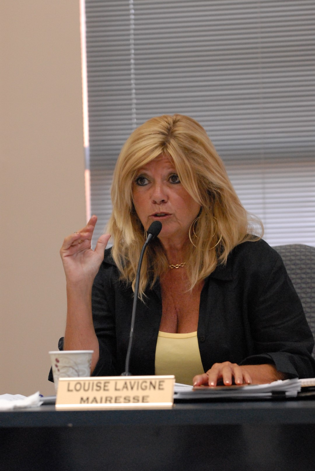 La mairesse Louise Lavigne a indiqué que dans quelques semaines sera annoncéla construction de la nouvelle école primaire sur le territoire de Carignan. (Photo : Archives)