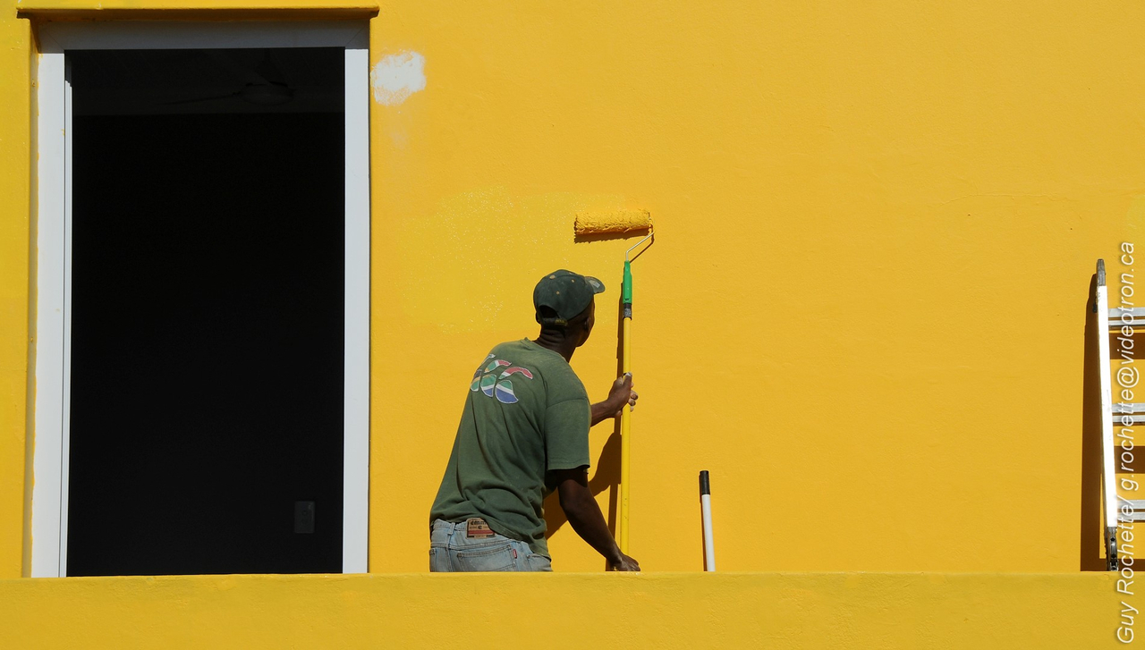 « Jaune sur jaune »