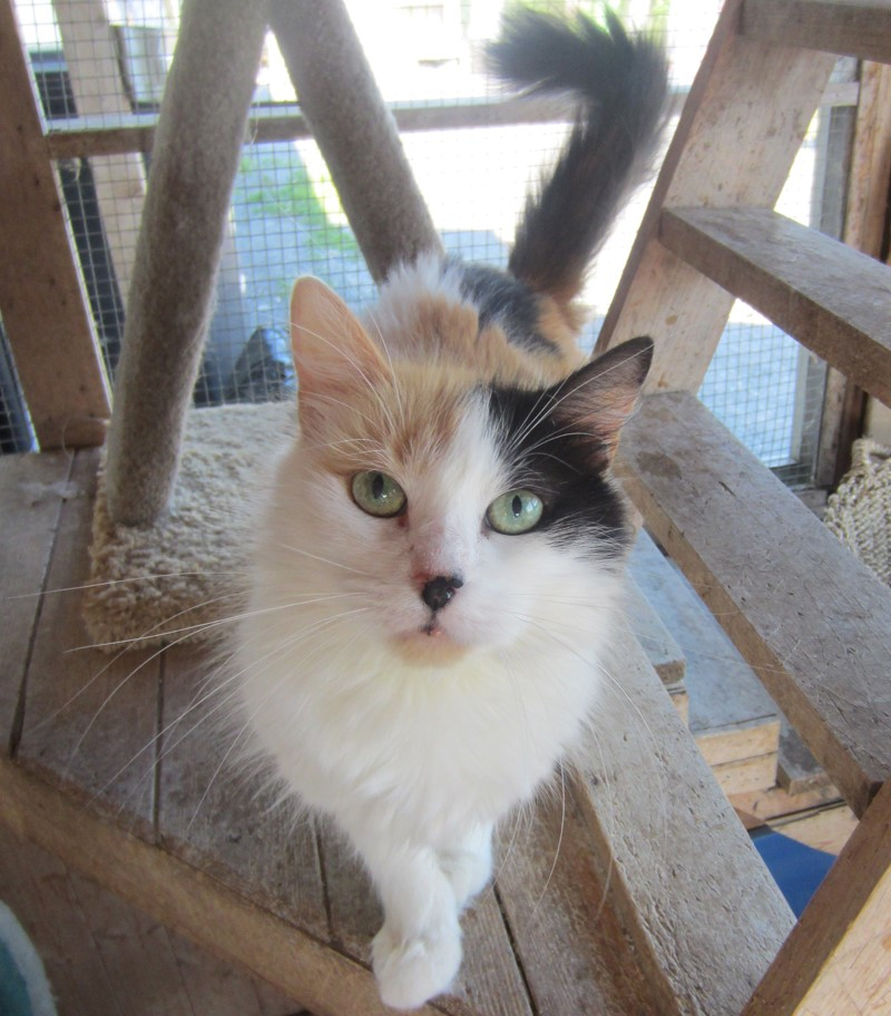 Wilma