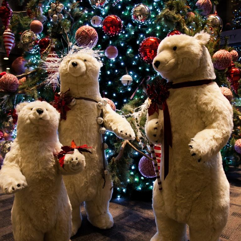 « Un Noël chez les Ourses blanc à Montréal »