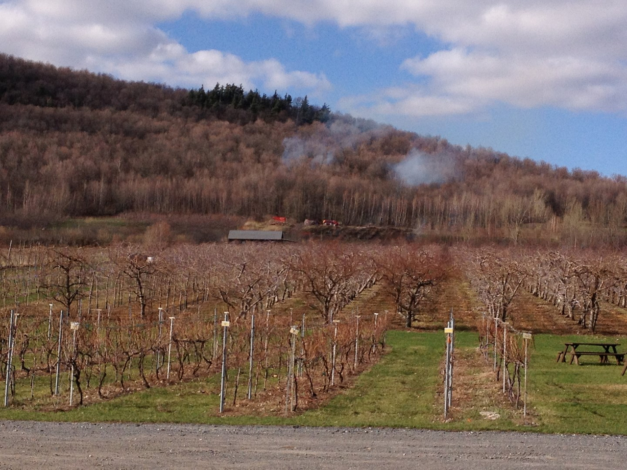 Un incendie majeur a eu lieu hier dans la montagne de St-Paul-d'Abbotsford.