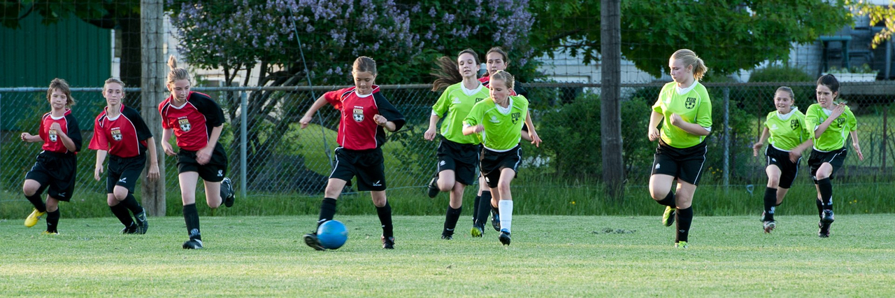 L'Association régionale de soccer Richelieu-Yamaska présente son Festival annuel les 7 et 8 juin.