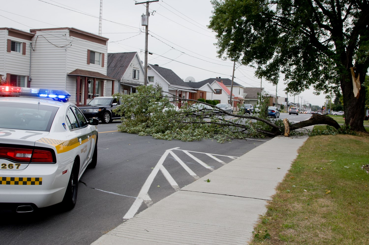 Le 8 septembre dernier, un arbre est tombé dans la rue Victoria, à Sorel-Tracy, en face du garage municipal, à cause des vents violents qui ont soufflé.