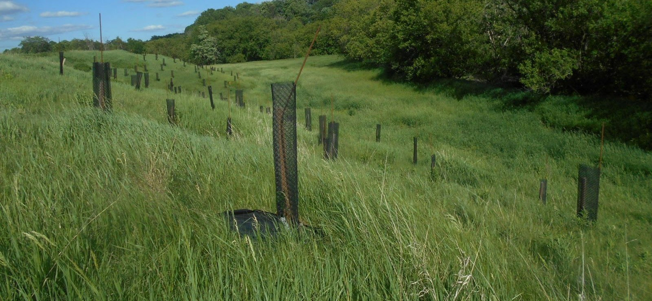 Un projet interrégional de transfert de connaissances sur les coulées agricoles est lancé