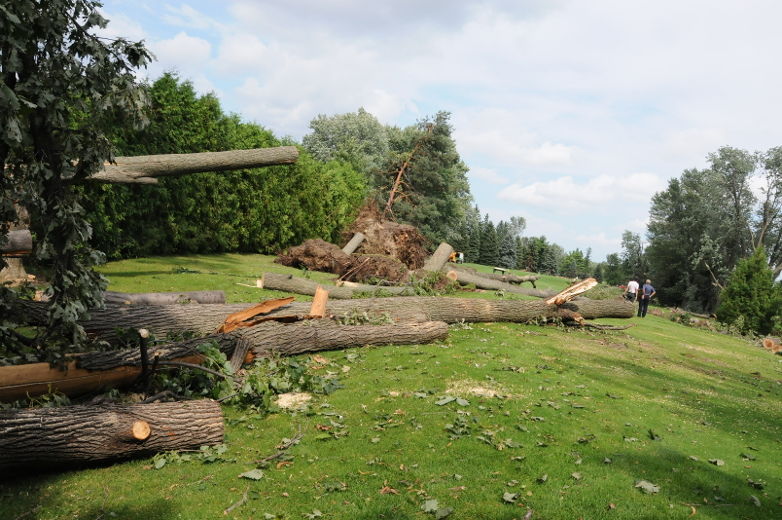 Le Golf de Rosemère a été la cible de la microrafale du samedi 11 août endommageant près de 300 arbres dont certains sont centenaires. Rosemère le 13 août 2012. Christian Côté/L'Écho de Saint-Eustache/Agence QMi