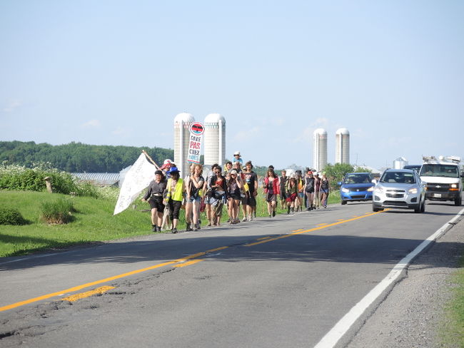 Les marcheurs auront parcouru 700 km en 34 jours. 