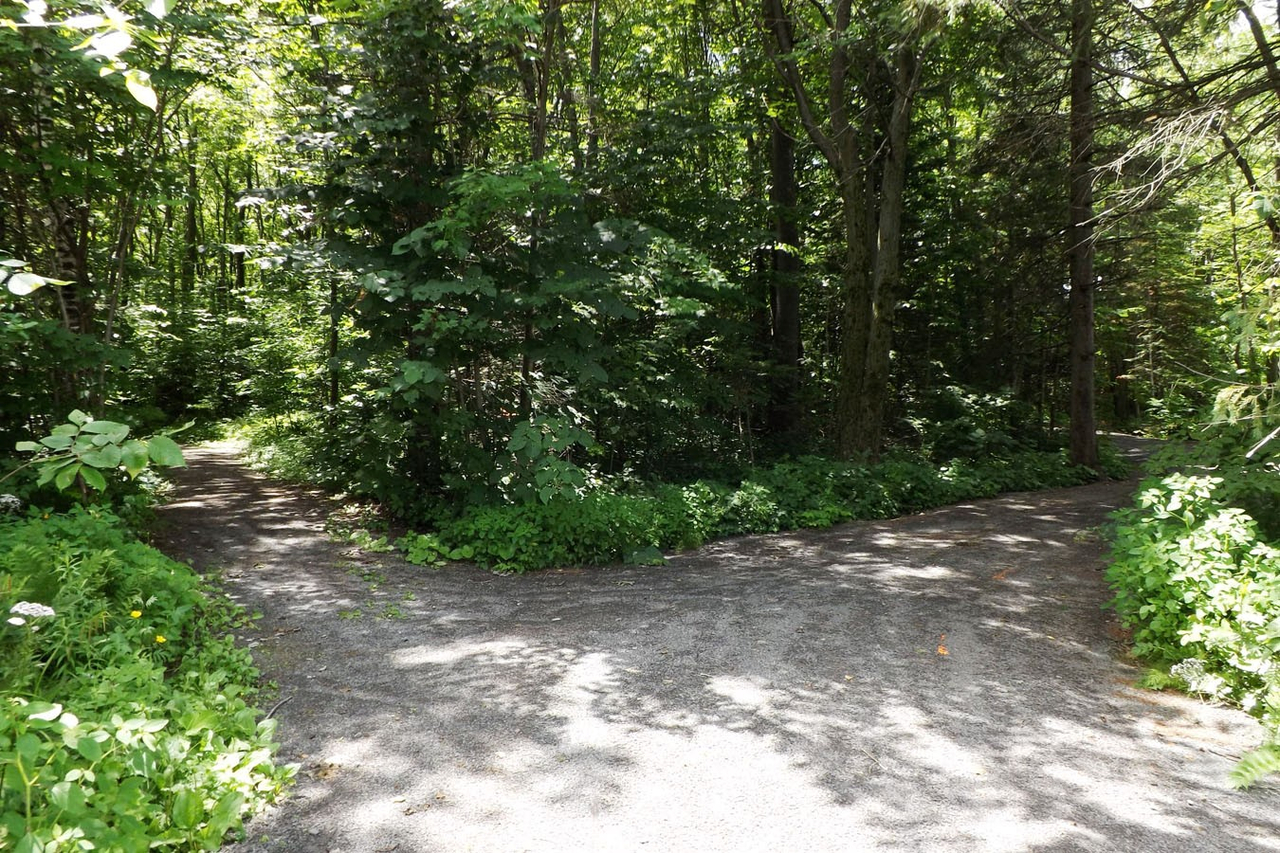 Parc naturel des Méandres : un espace vert à découvrir