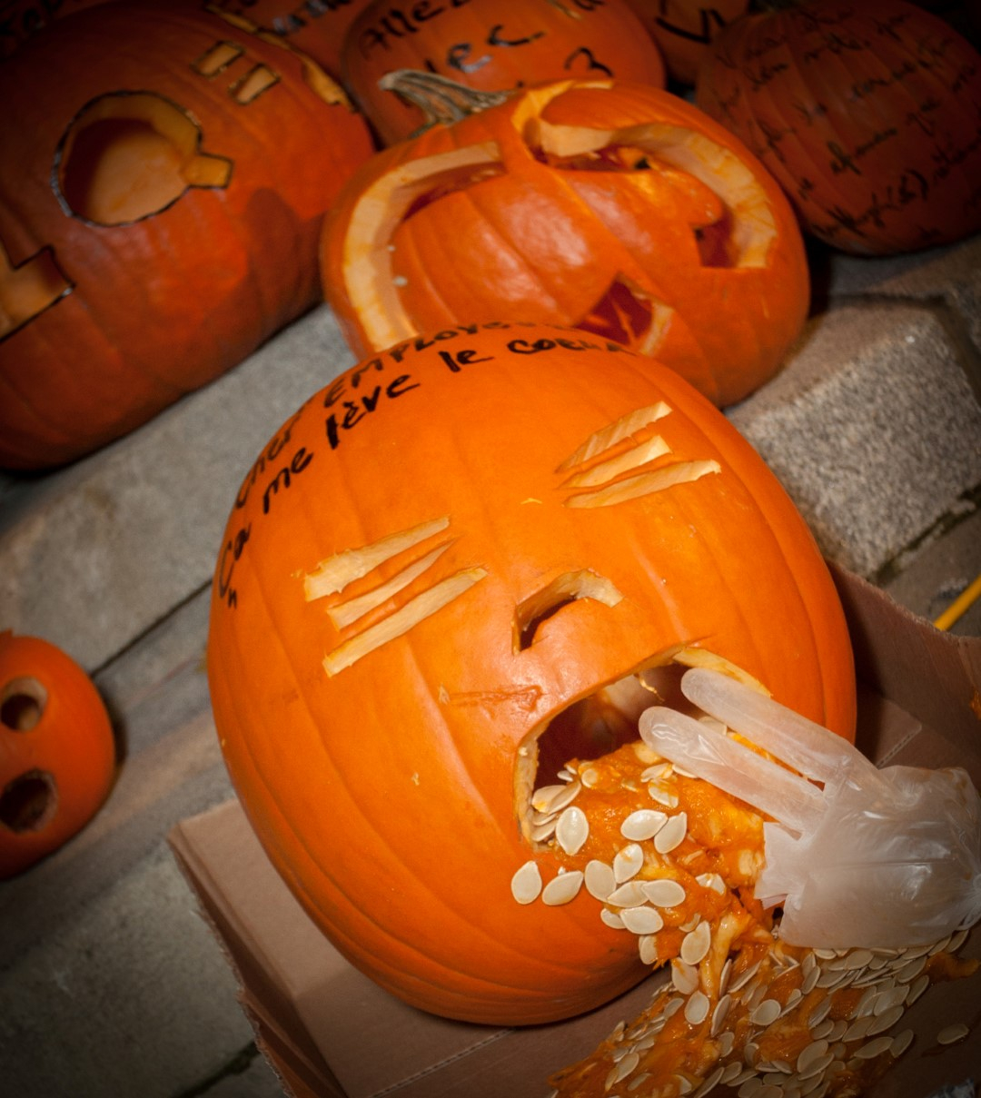 Les citrouilles de la discorde
