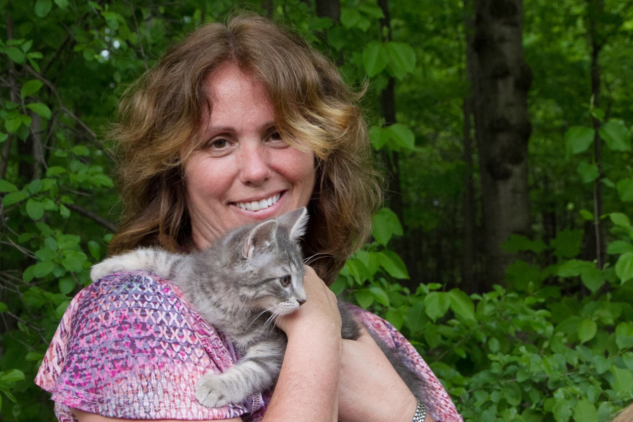 Surpopulation des chats errants: elles offrent une solution gagnante et responsable