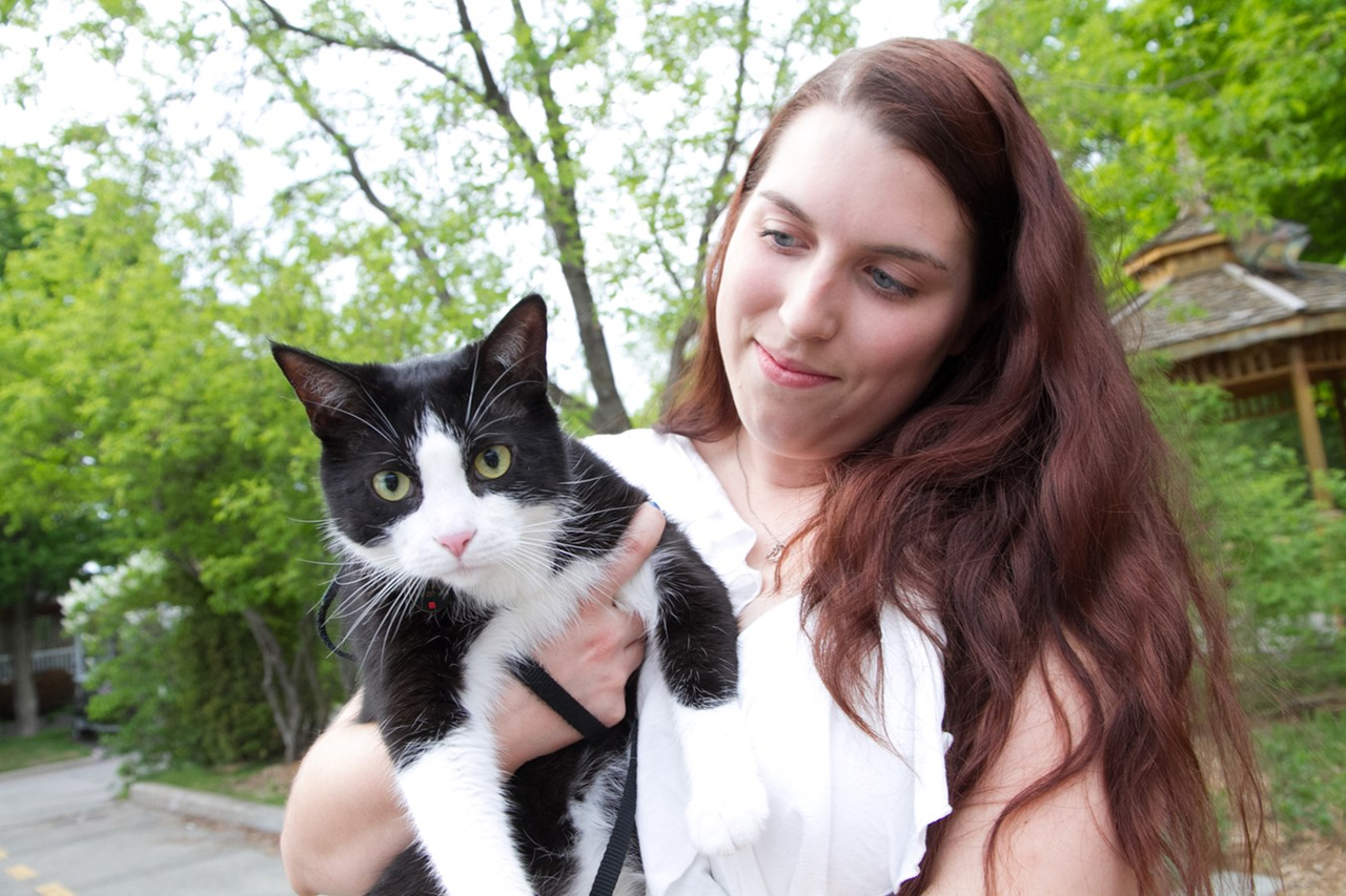 Surpopulation des chats errants: elles offrent une solution gagnante et responsable