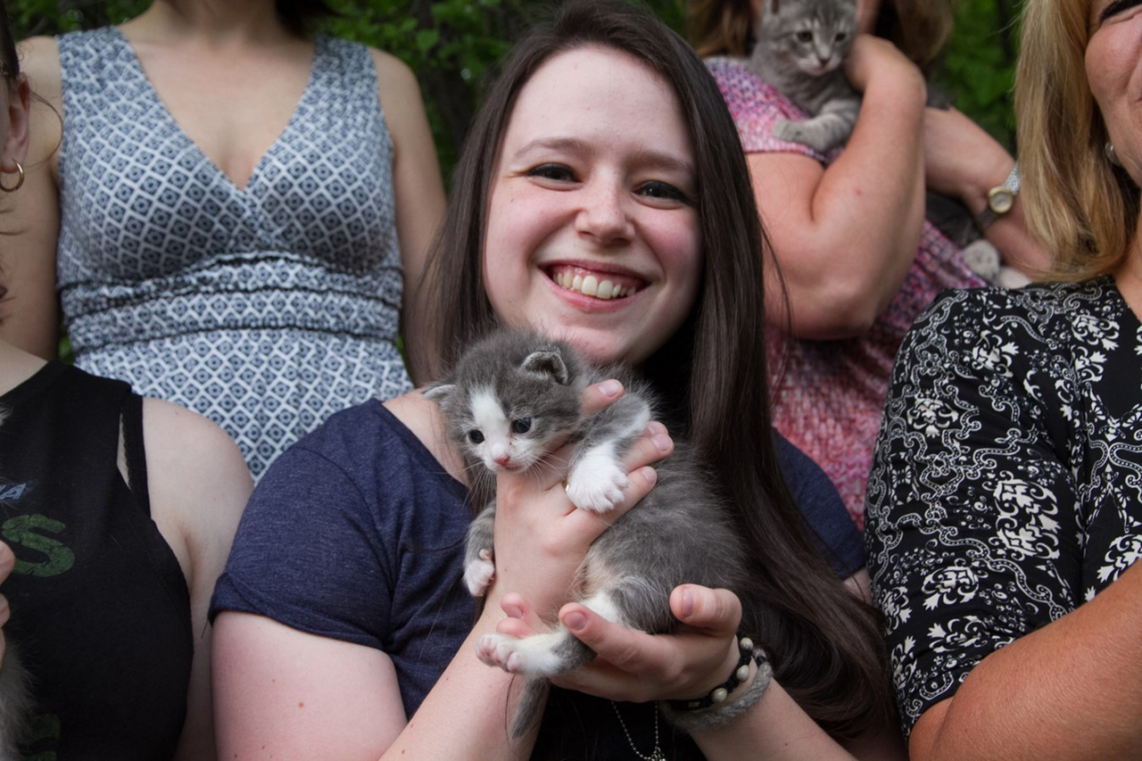 Surpopulation des chats errants: elles offrent une solution gagnante et responsable