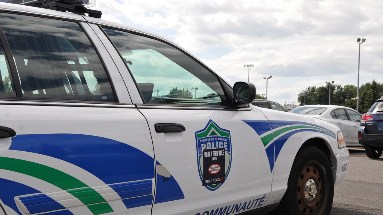 La Régie de police Thérèse-De Blaiville saisit plus de 550 plants de cannabis