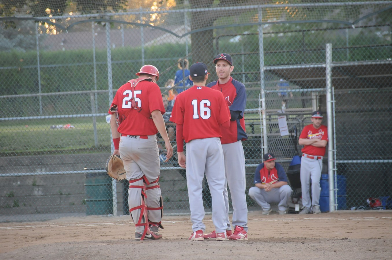 Une manche suffit aux Bisons