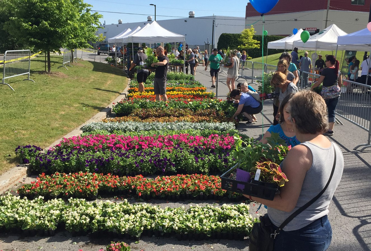 Journée ville fleurie : la ville a offert 4 400 plants de végétaux aux Filionoises et Filionois