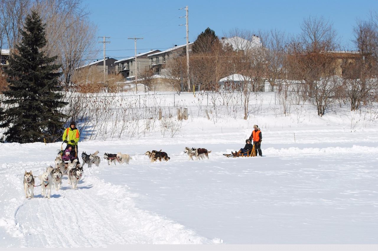 Des surprises de taille à la Journée Plaisirs d’hiver à Sainte-Thérèse!
