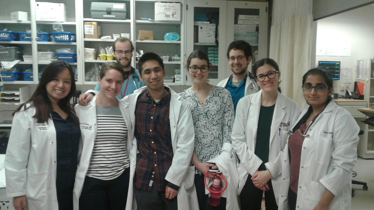 Les six étudiants en médecine qui ont pris part à la fin de semaine d'exploration dans les Laurentides. De gauche à droite : Angèle Prinh, Frédérique Landry, Viet Pham, Anne-Sophie Lafrenière, Catherine Boudrias, Gauri Patel. Ils étaient accompagnés des Drs Julien Lamarche et Samy Malak (qui apparaissent à l'arrière de la photo) de l'UMF de Mont-Laurier.