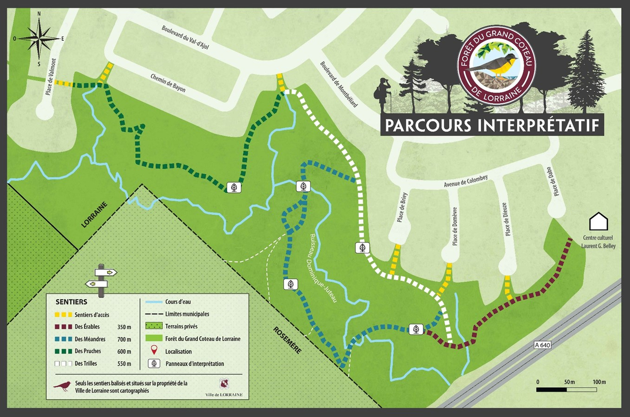 Une boucle interprétative de 2,2 km dans la forêt du Grand Coteau