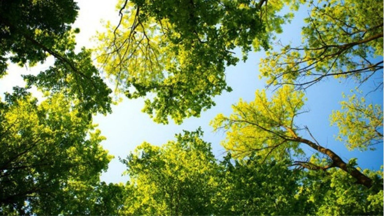 Ouverture de la saison estivale au Parc régional du bois de Belle-Rivière