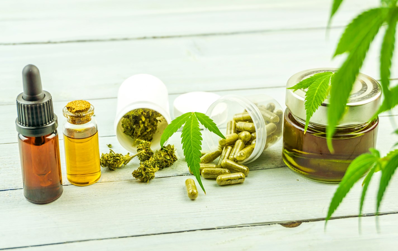 Production et transformation du cannabis: Le Cégep Gérald-Godin propose une série d'ateliers