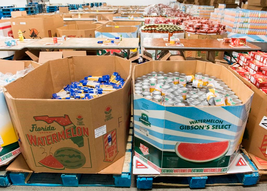 Budget : l’aide «insuffisante» laisse les banques alimentaires sur leur faim