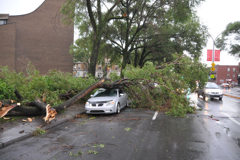 Le mauvais temps et des orages violents ont frappé plusieurs régions du Québec. Dans la province, près de 487 000 abonnés étaient privés d’électricité vers 16 h le vendredi 19 juillet 2013, selon Hydro-Québec. Sur la photo, un arbre est tombé sur un véhicule, sur le boulevard Pie-IX, à Montréal.
MATHIEU LACOMBE/AGENCE QMI