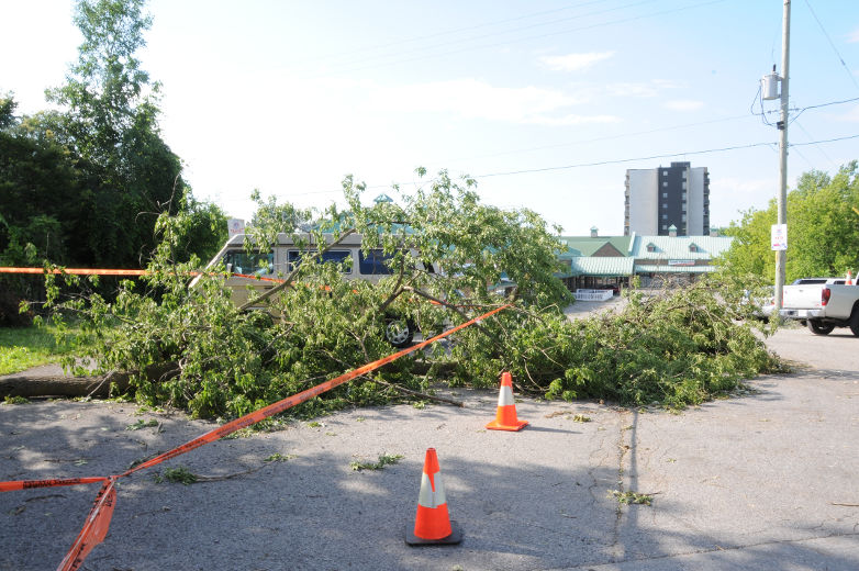 s orages violents qui ont frappé à Laval le vendredi 19 juillet 2013 ont complètement ravagé le secteur à l'ouest du boulevard Curé-Labelle, si bien que le chef de police de Laval croit que plusieurs jours seront nécessaires avant de retrouver un semblant de vie normale, le samedi 20 juillet 2013. Sur la photo, un arbre étendu sur la route à Laval le samedi 20 juillet 2013.
JEAN-MARC GILBERT/AGENCE QMI