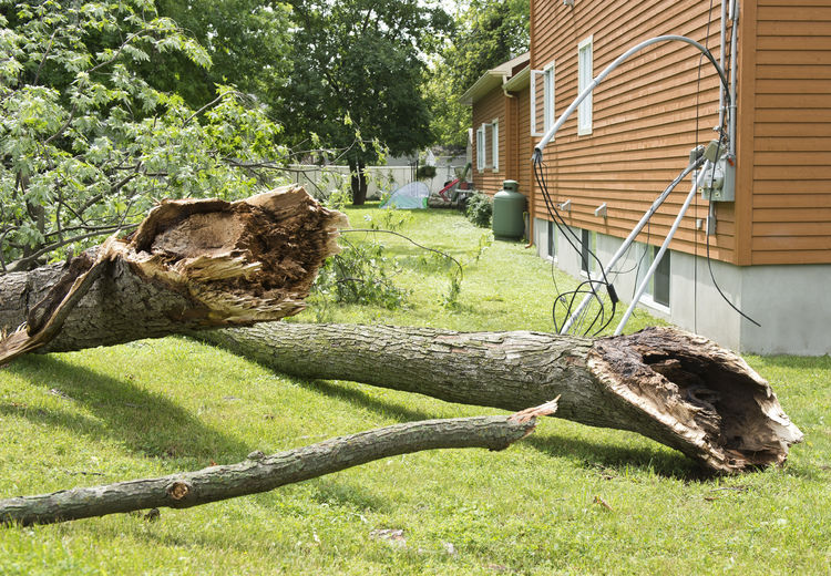 Les résidents constatent les dégâts au lendemain de l'orage violent qui s'est abattu sur le Québec vendredi soir, à Laval près de Montréal en ce samedi 20 juillet 2013. Sur cette photo: Le quartier Vieux Ste-Rose près des rues Mont-Royal et Grenier.
JOEL LEMAY/AGENCE QMI