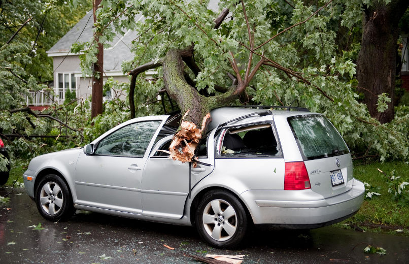 Le mauvais temps et des orages violents ont frappé plusieurs régions du Québec. Dans la province, près de 487 000 abonnés étaient privés d’électricité vers 16 h vendredi, selon Hydro-Québec. Sur la photo, un arbre arraché sur la rue Grenier dans le quartier Sainte-Rose, à Laval.
MARTIN ALARIE/L'ÉCHO DE LAVAL/AGENCE QMI