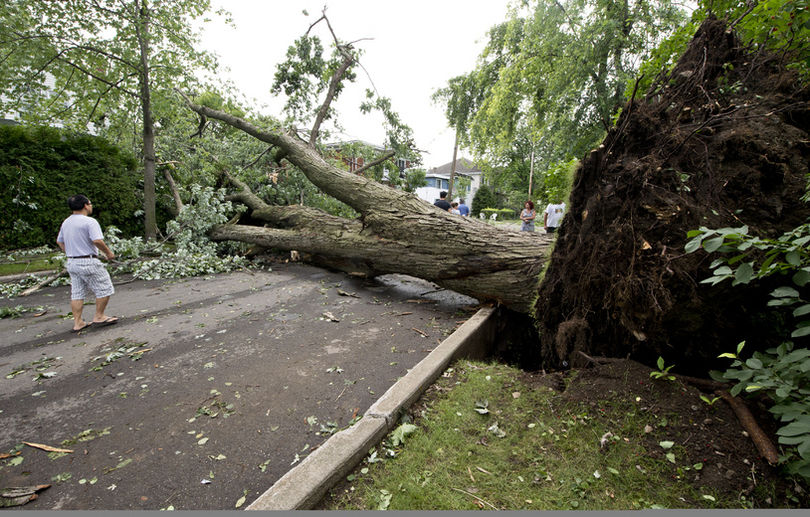 Les résidents constatent les dégâts au lendemain de l'orage violent qui s'est abattu sur le Québec vendredi soir, à Laval près de Montréal en ce samedi 20 juillet 2013. Sur cette photo: Le quartier Vieux Ste-Rose près des rues Mont-Royal et Grenier.
JOEL LEMAY/AGENCE QMI