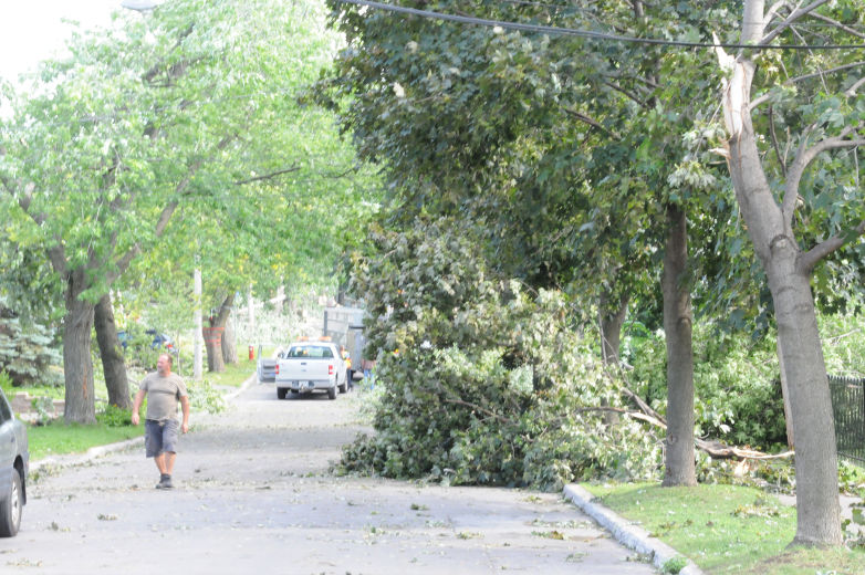 s orages violents qui ont frappé à Laval le vendredi 19 juillet 2013 ont complètement ravagé le secteur à l'ouest du boulevard Curé-Labelle, si bien que le chef de police de Laval croit que plusieurs jours seront nécessaires avant de retrouver un semblant de vie normale, le samedi 20 juillet 2013. Sur la photo, un arbre étendu sur la route à Laval le samedi 20 juillet 2013.
JEAN-MARC GILBERT/AGENCE QMI
