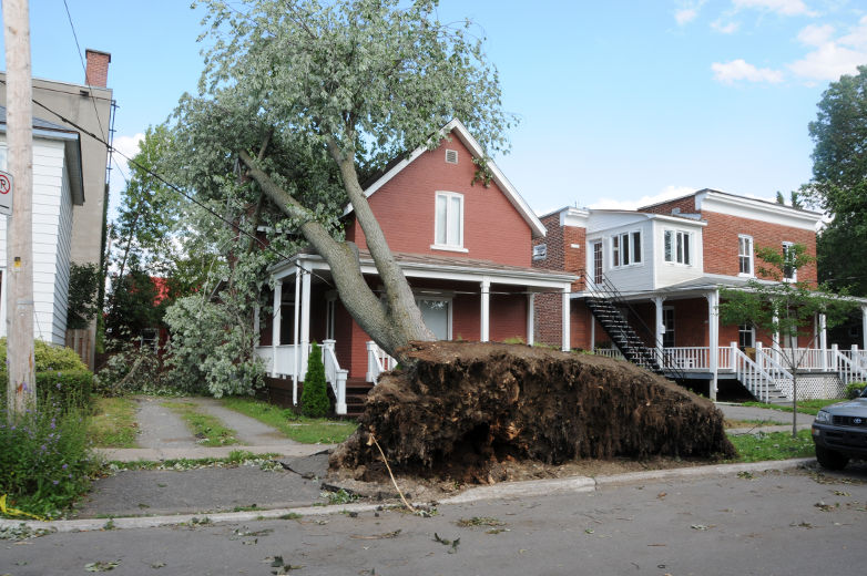 s orages violents qui ont frappé à Laval le vendredi 19 juillet 2013 ont complètement ravagé le secteur à l'ouest du boulevard Curé-Labelle, si bien que le chef de police de Laval croit que plusieurs jours seront nécessaires avant de retrouver un semblant de vie normale, le samedi 20 juillet 2013. Sur la photo, un arbre déraciné à Laval le samedi 20 juillet 2013.
JEAN-MARC GILBERT/AGENCE QMI