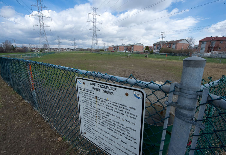 Parc Binet (Parc récréatif canin de Chomedey)
