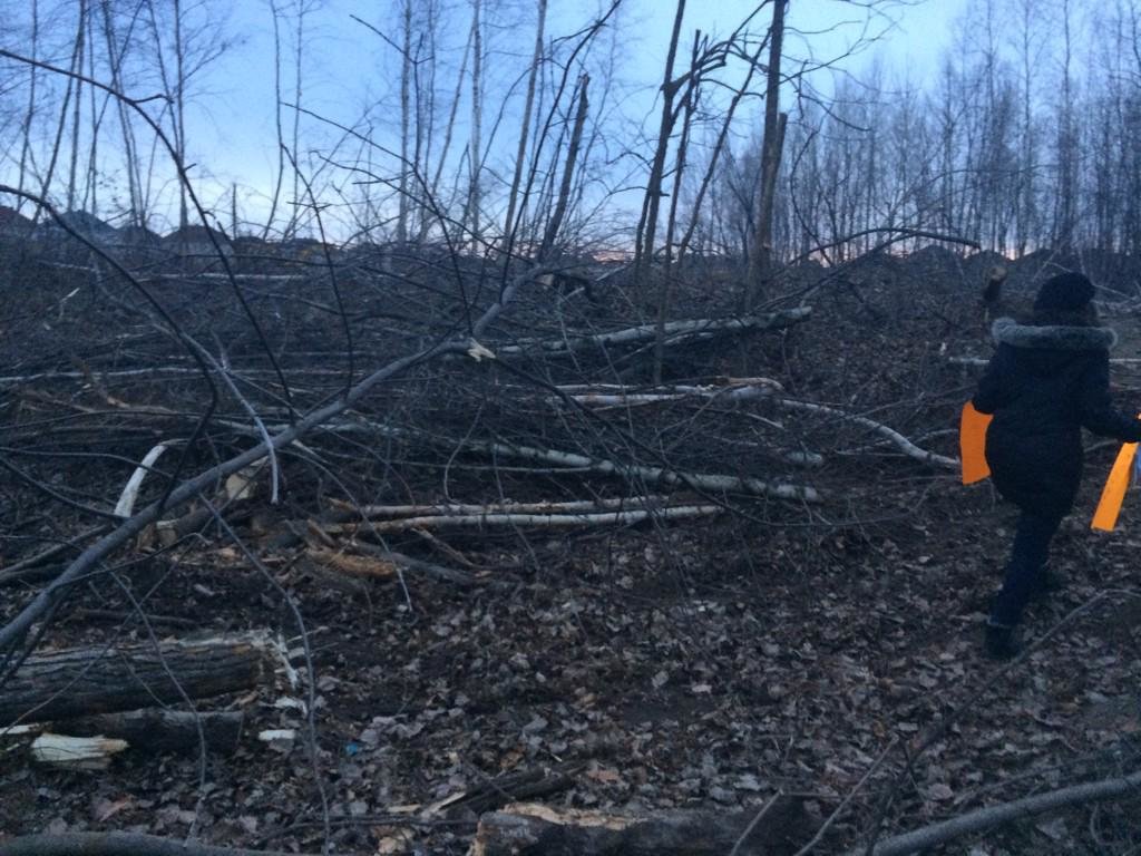Parc Stéphanie : la Ville interrompt les travaux pour le nouveau terrain de soccer