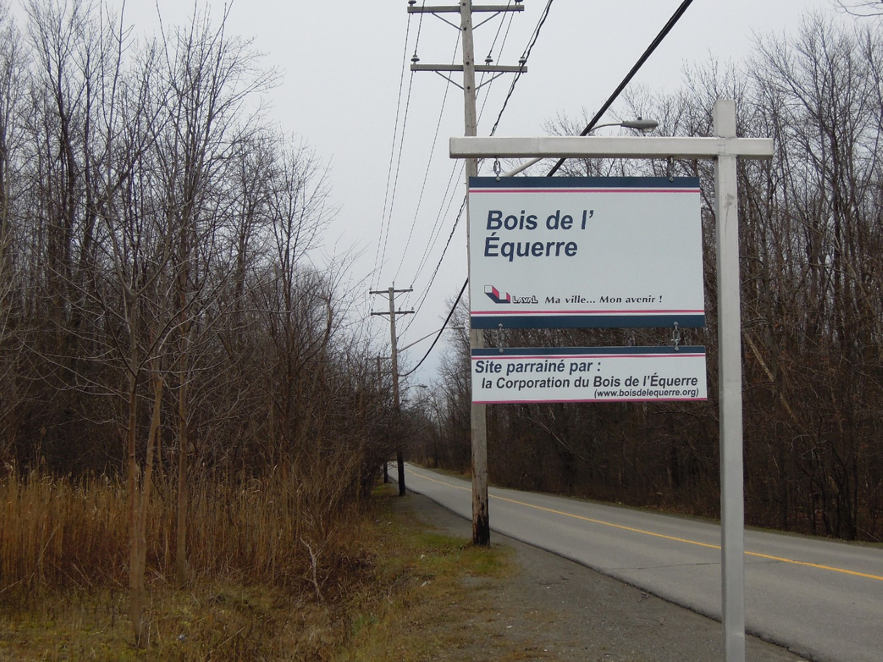La Ville souhaite acquérir le plus de terrains possible dans le Bois de l'Équerre.