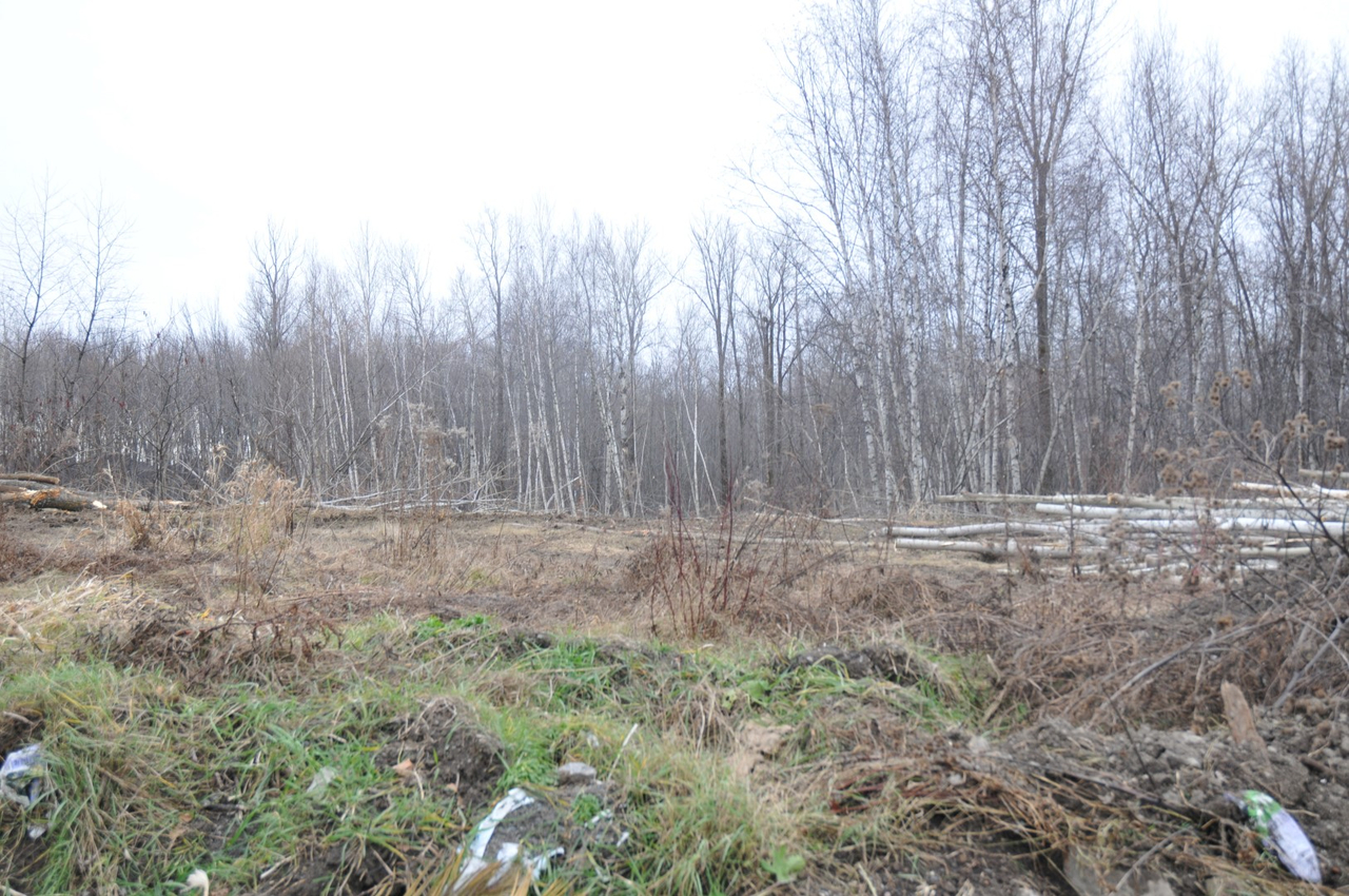 Protection du bois de la Source: le mouvement citoyen s'intensifie